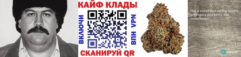 Как найти наркотики Первомайск Альфа ПВП Меф мяу мяу COCAIN