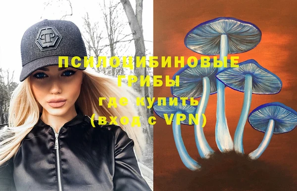 шишки Аркадак