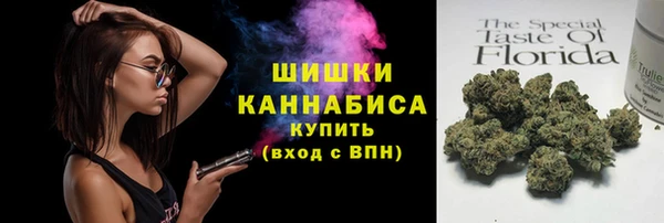 шишки Аркадак