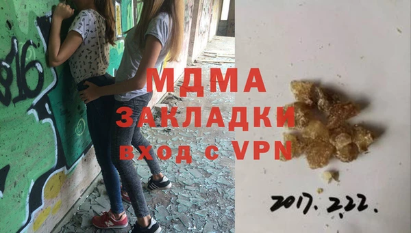 шишки Аркадак