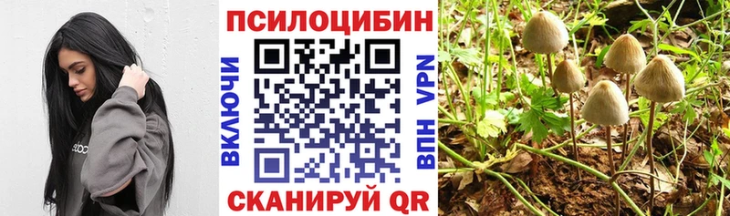 Галлюциногенные грибы MAGIC MUSHROOMS  где найти наркотики  Первомайск 